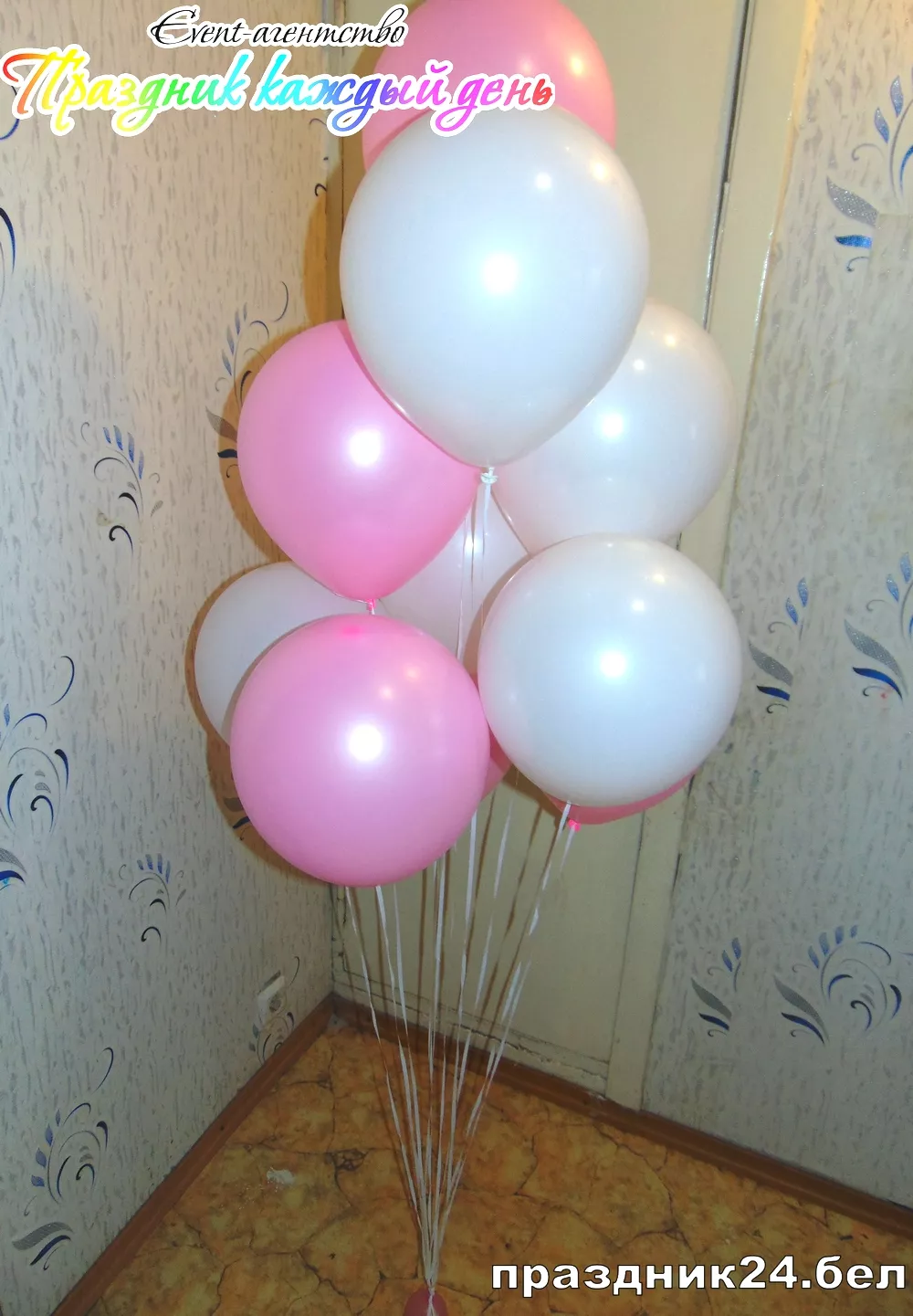 DSC00455.jpg